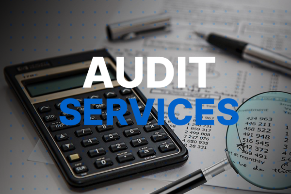 Audit sSservices